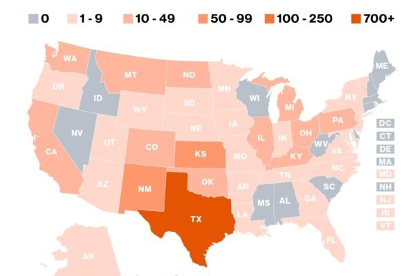 US measles cases. UU. They reach the highest number in 33 years: CDC