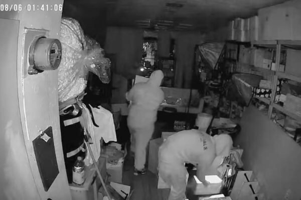 Thousands of dollars in stolen labubus as the popularity of the toy continues to increase Thousands of dollars in stolen labubus as the popularity of the toy continues to increase