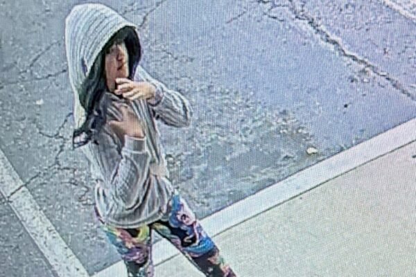 Mother of missing girl Melodee Buzzard changed plates during road trip: officials