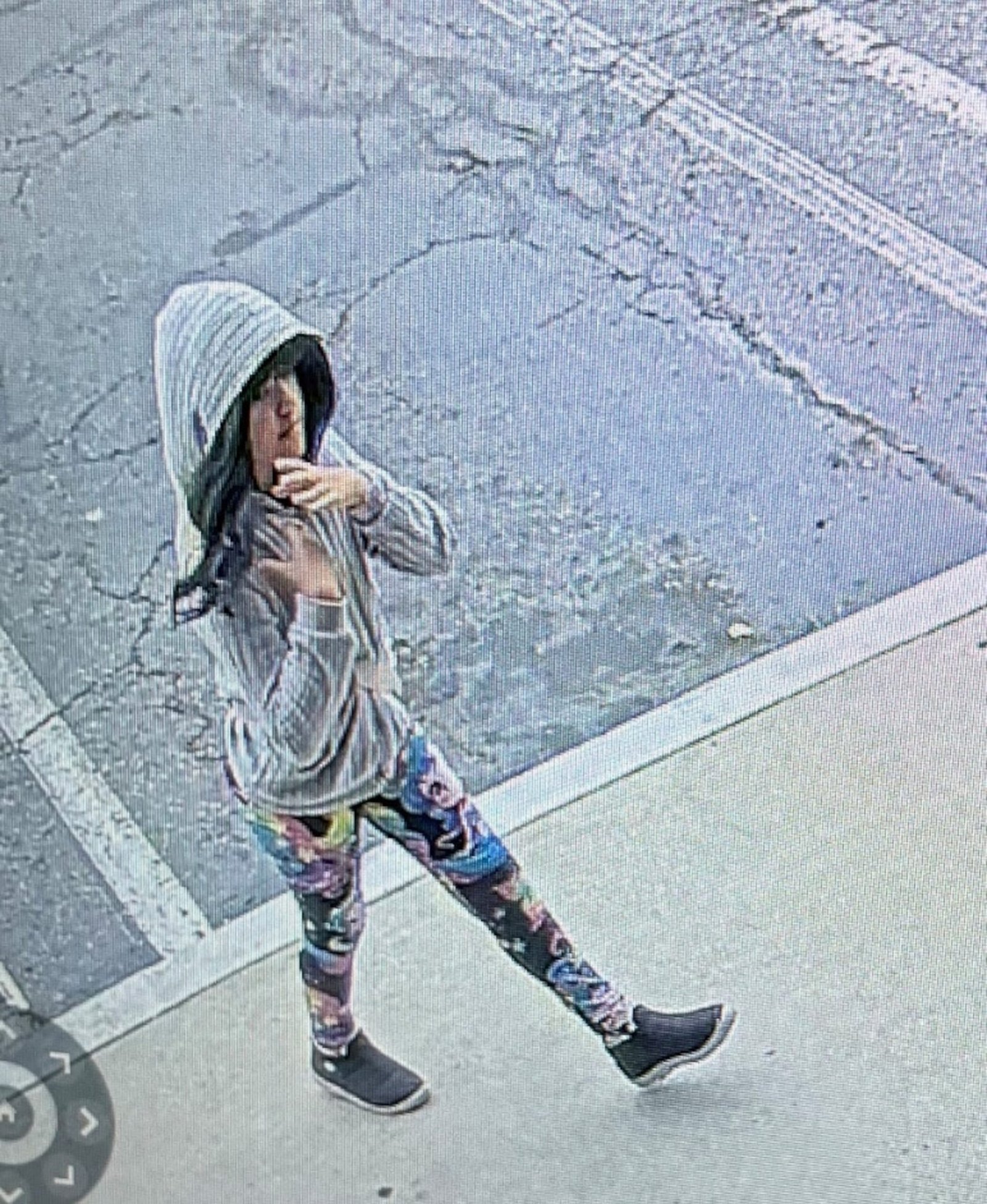 Mother of missing girl Melodee Buzzard changed plates during road trip: officials