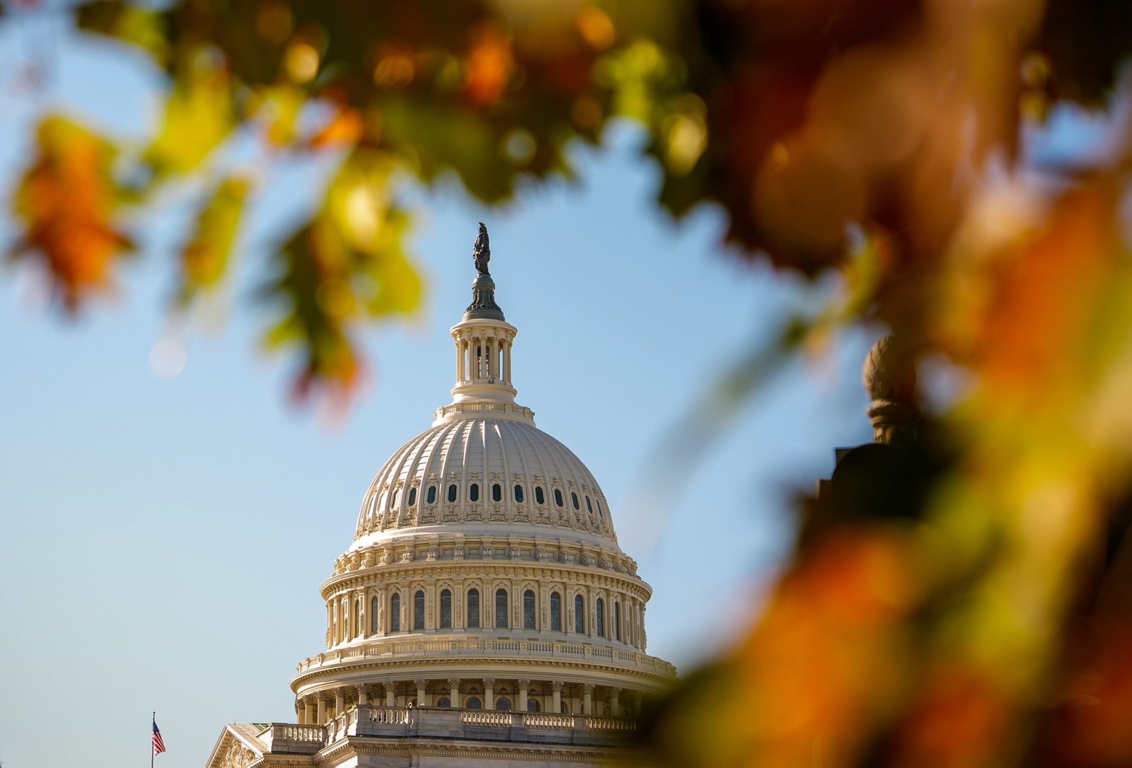 With one year to go until Election Day 2026, Tuesday's results could shape the 2026 midterms