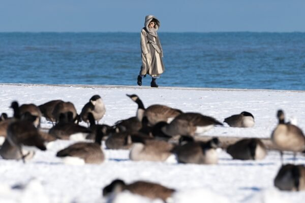 Arctic blast hits Midwest, Northeast as snow causes school closures in Mid-Atlantic