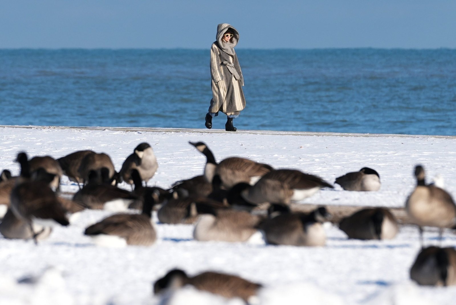 Arctic blast hits Midwest, Northeast as snow causes school closures in Mid-Atlantic